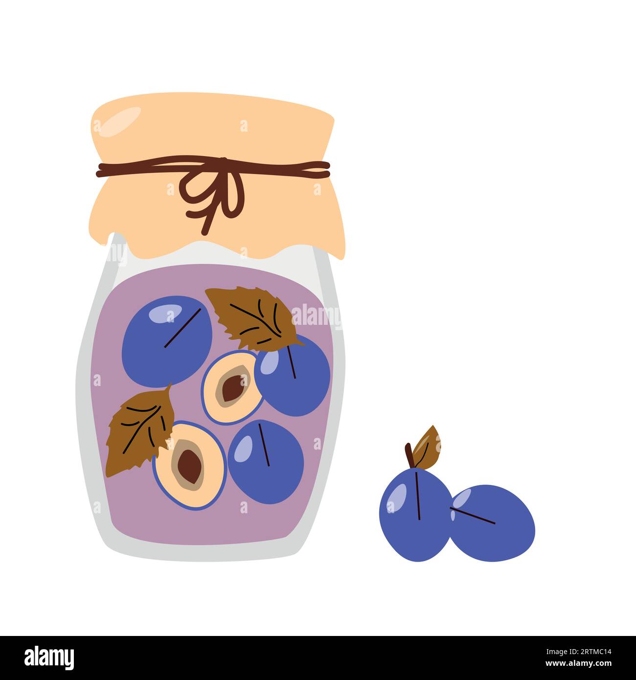 homemade compote of fresh juicy plums cartoon vector illustration