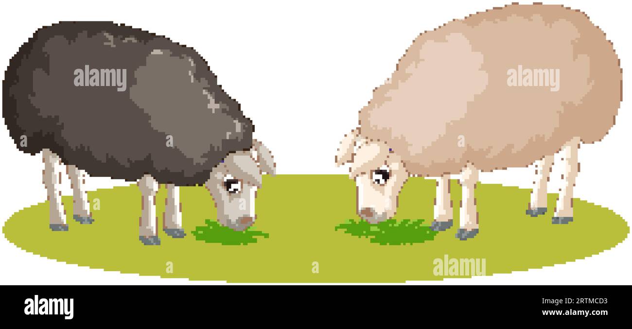 Vector cartoon illustration of black and white sheeps eating grass ...