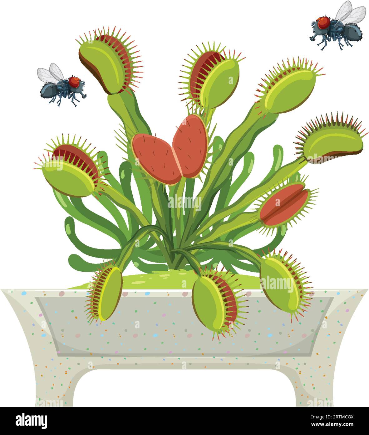 Colorful cartoon illustration of flies hovering above a Venus flytrap
