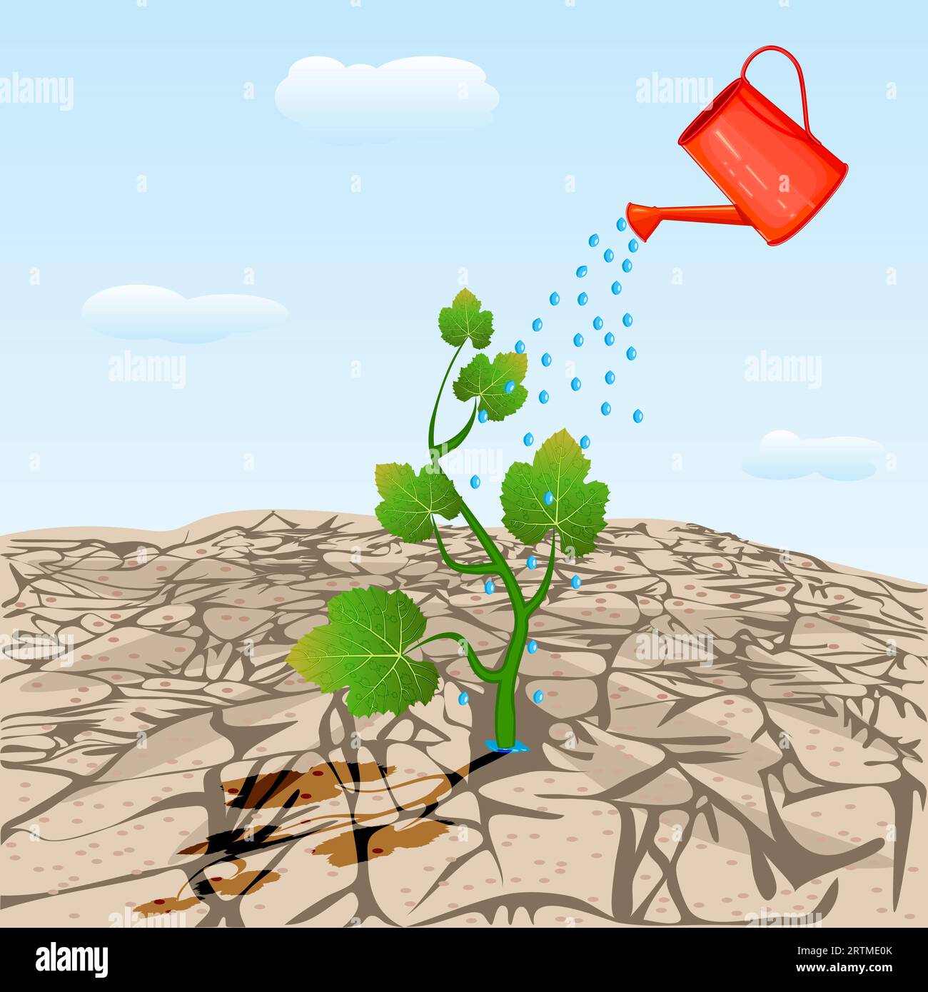 Dry cracked land with plant sprout and watering can. Watered plant in