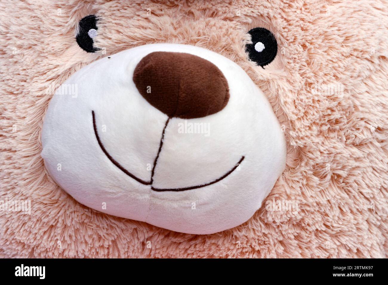 Head of a large  teddy bear. Children's soft toy.  France. Stock Photo