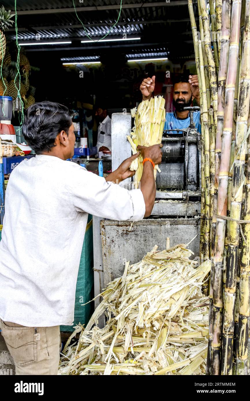 Workers crushing sugarcane in Daulatabad, India Stock Photo