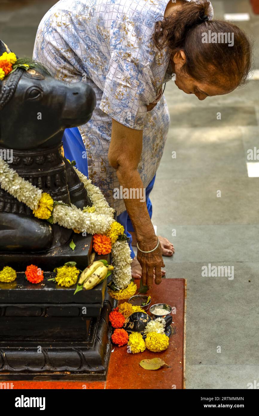 Shree Mukteshwar Devalaya temple, Juhu, Mumbai, India. Devotee