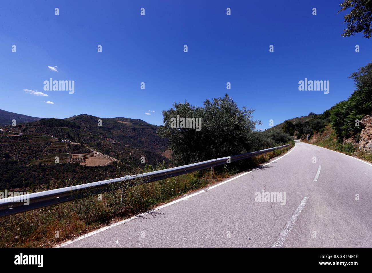 Road in the Douro valley.  Pinhao. Portugal. Stock Photo