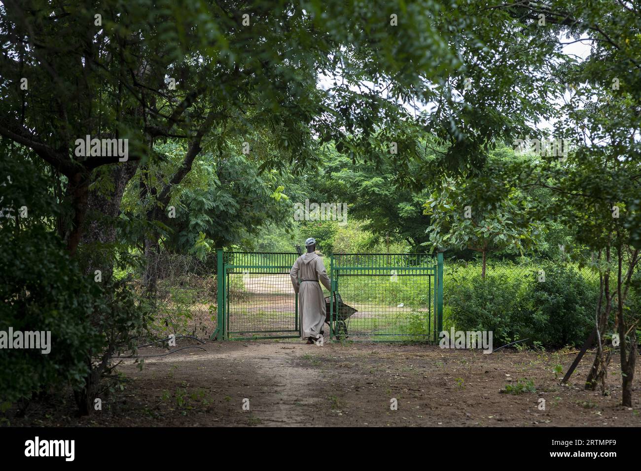 Monk gardening in Keur Moussa benedictine abbey, Keur Moussa, Senegal. Stock Photo