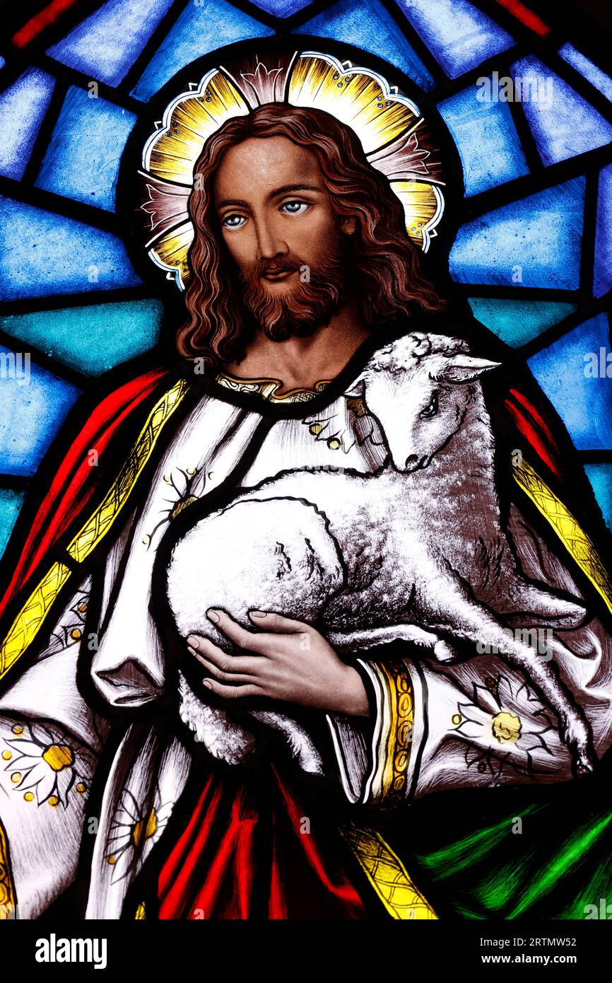 Song Vinh catholic church. Stained glass window. Jesus the good shepherd. Vietnam Stock Photo
