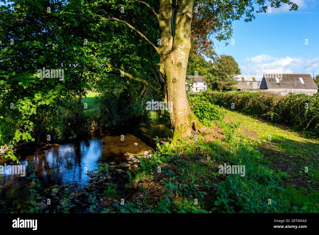 The Four Mile Burn in Parkgate, County Antrim, Northern Ireland Stock