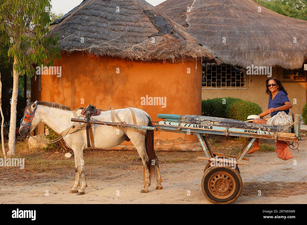 Woman on a horsedriven cart in Senegal Stock Photo Alamy