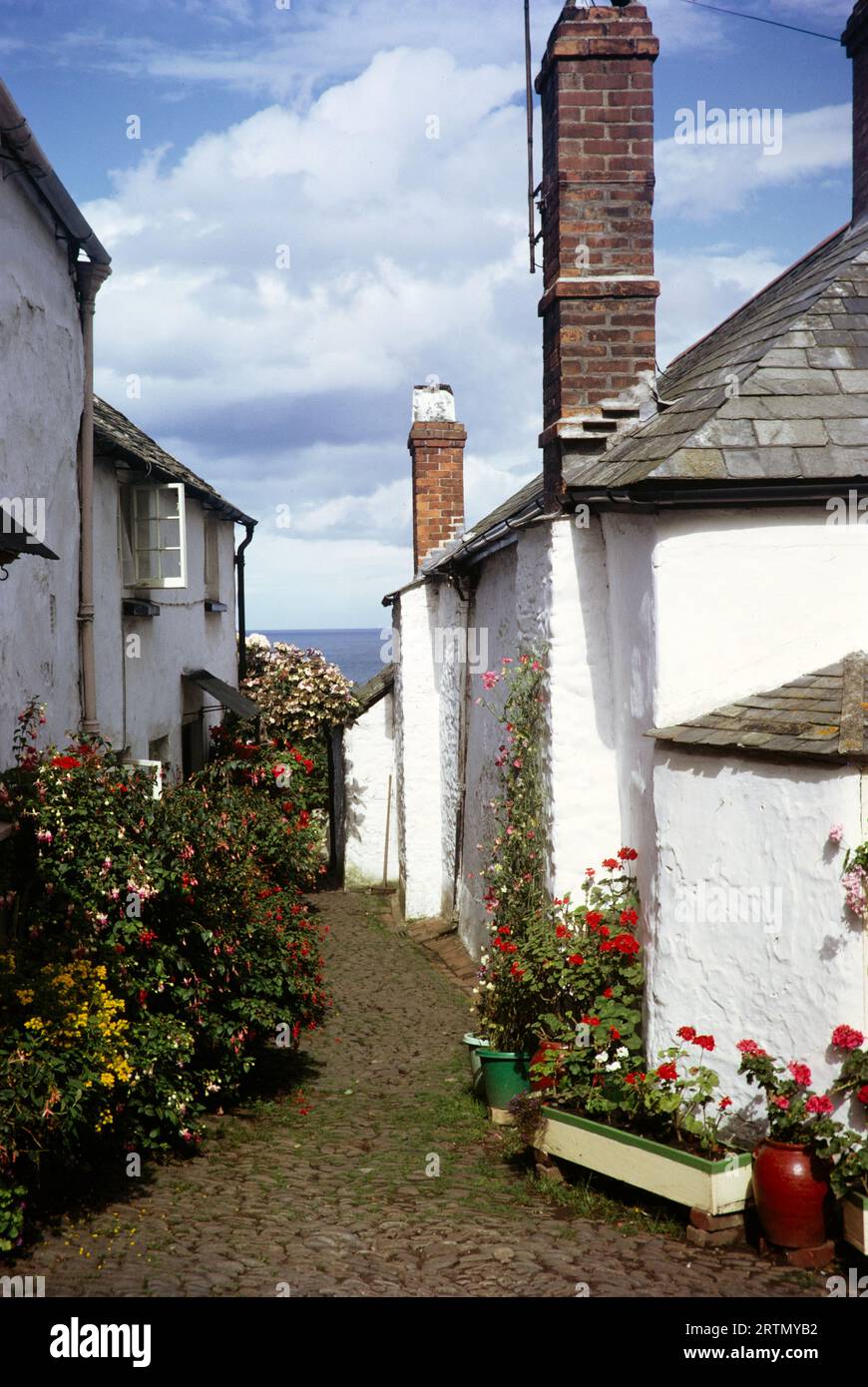 Whitewashed cottages, Clovelly, North Devon, England UK September 1968 Stock Photo