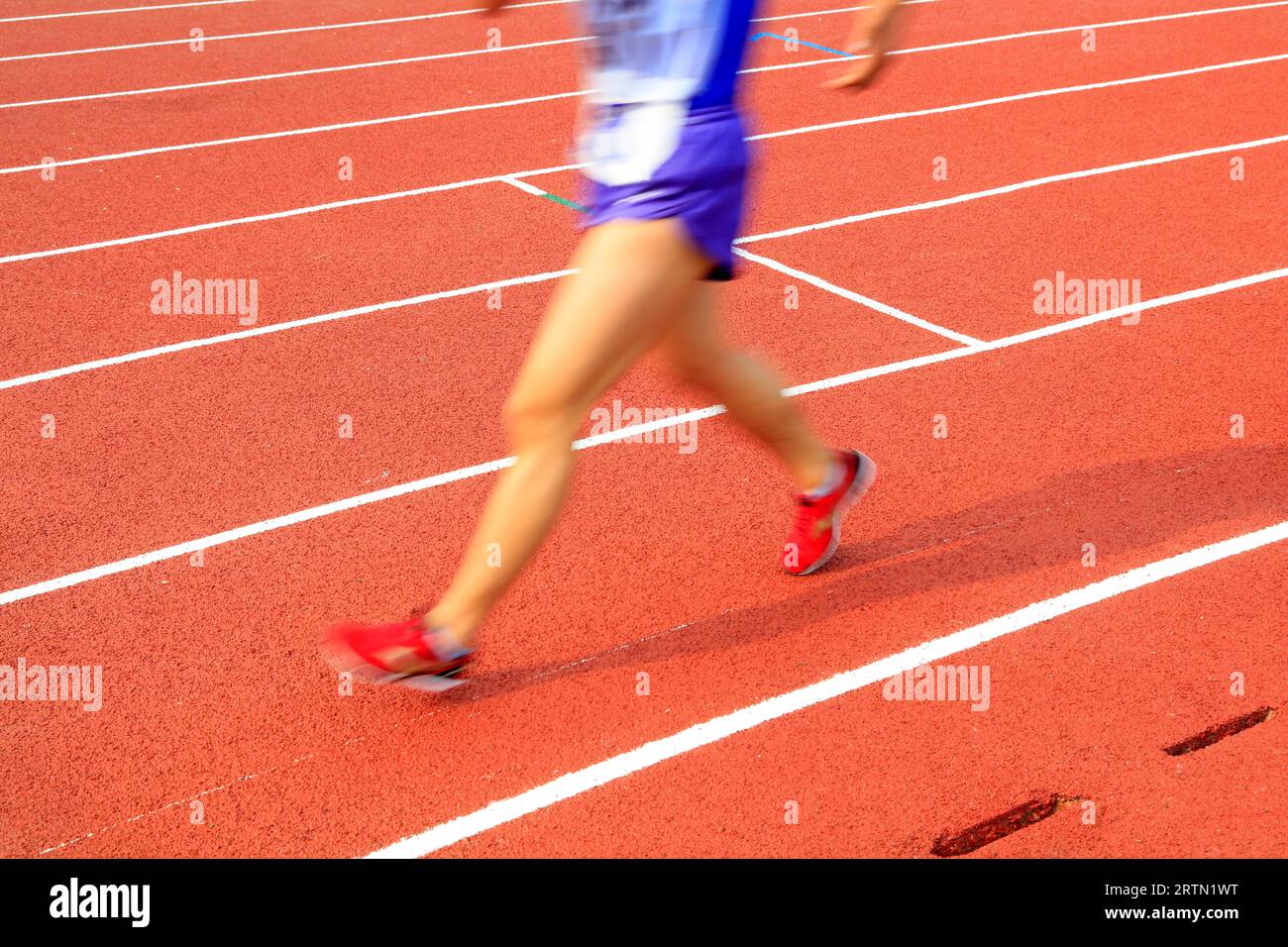Runne legs of a long distance runne Stock Photo - Alamy