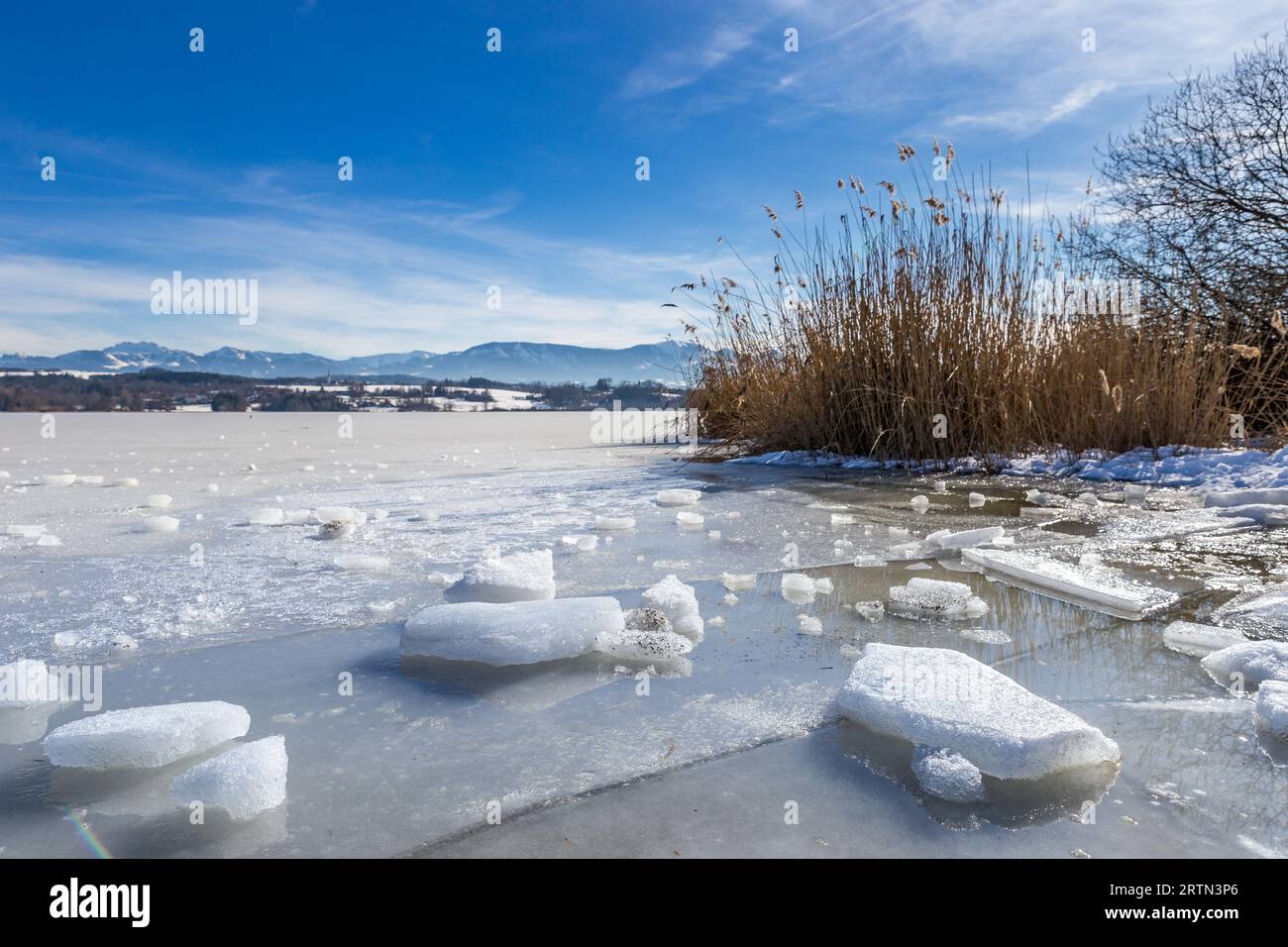 Frozen Lake “Simssee” and Reeds in front of Snowy Mountains in Bavaria, Germany, Europe Stock Photo