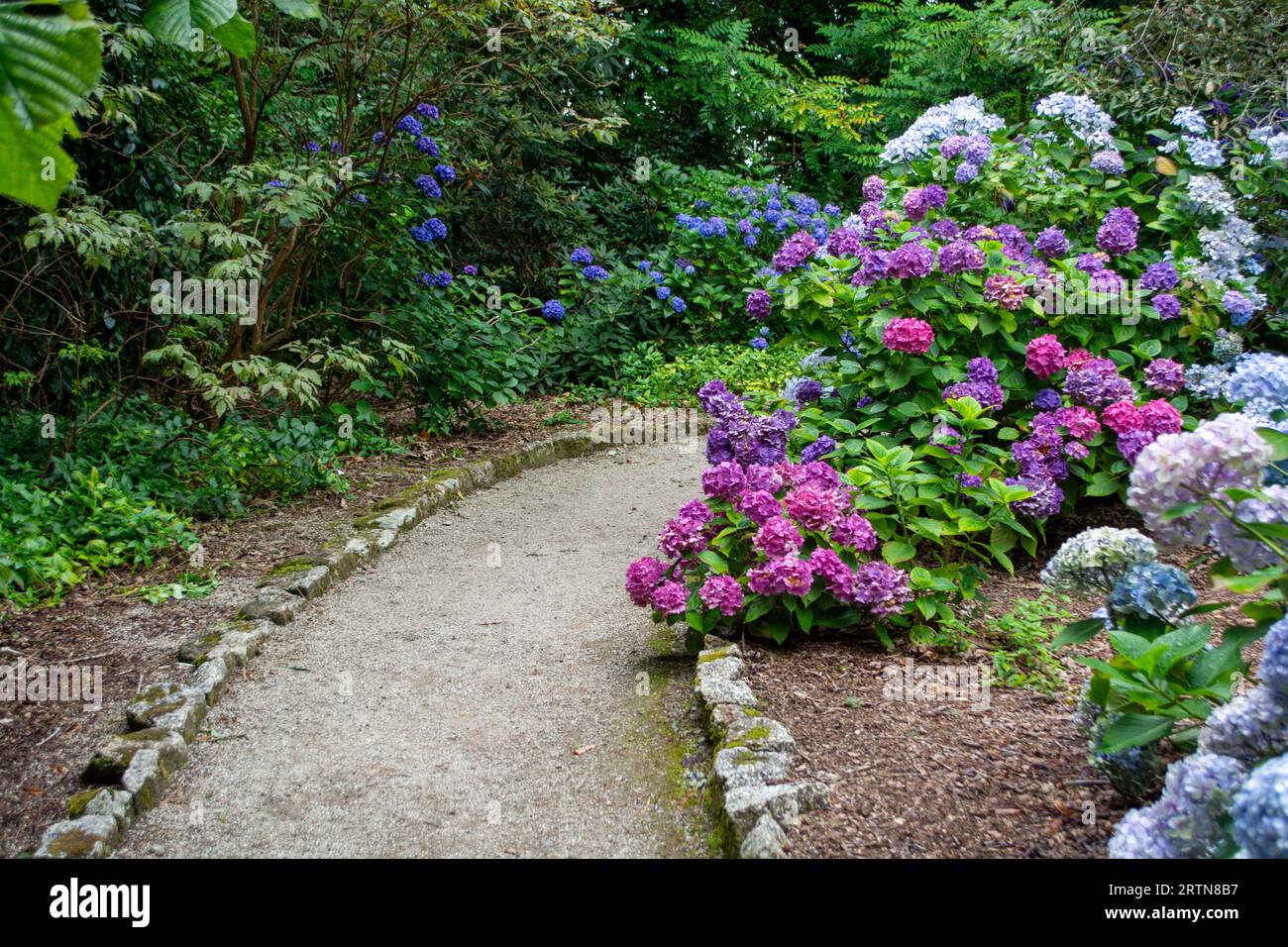 Flowers at Trelissick garden of the National trust, cornwall england uk Stock Photo