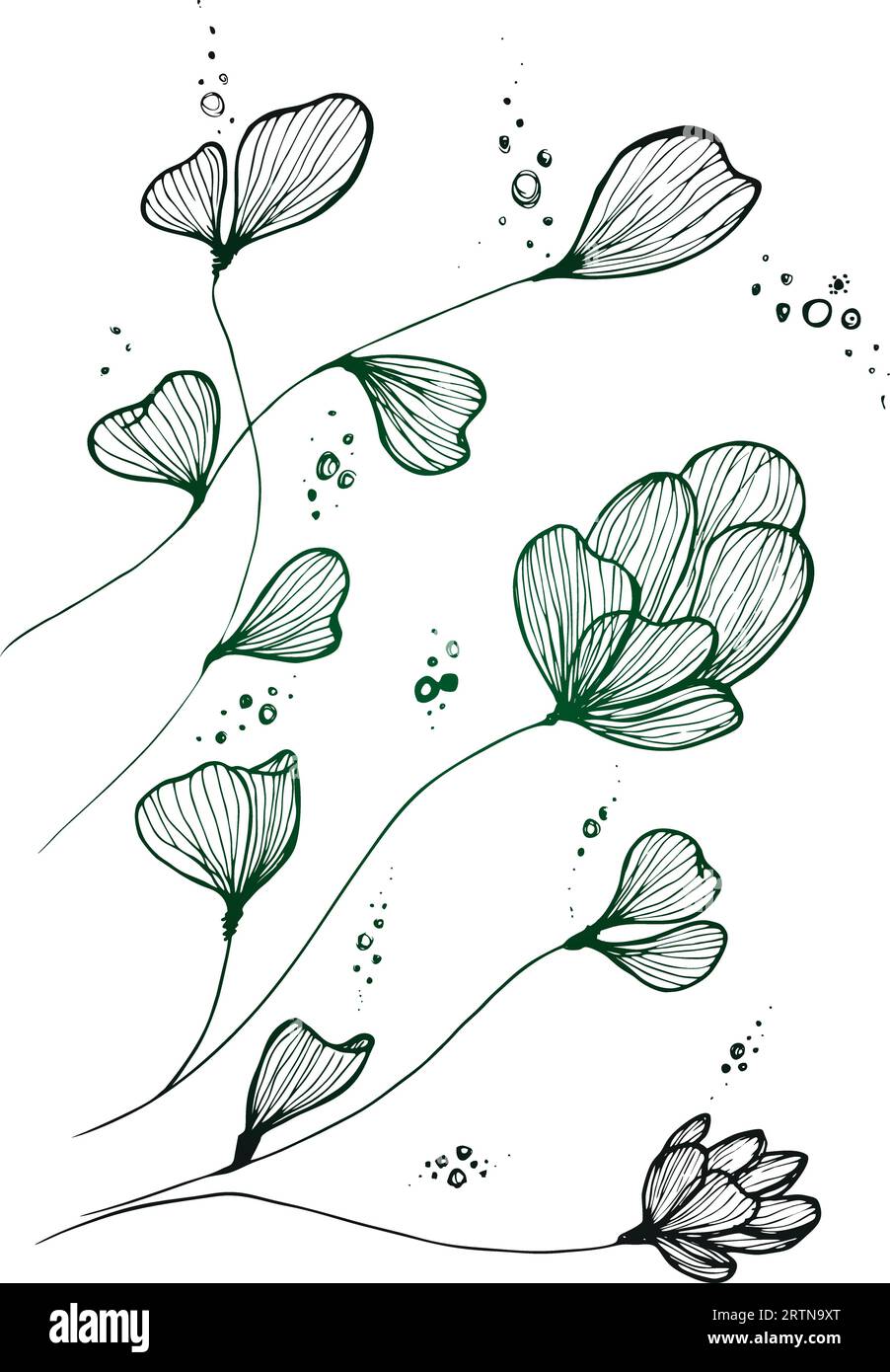 Abstract outlined leaves and branches pattern. Hand drawn black brush ...