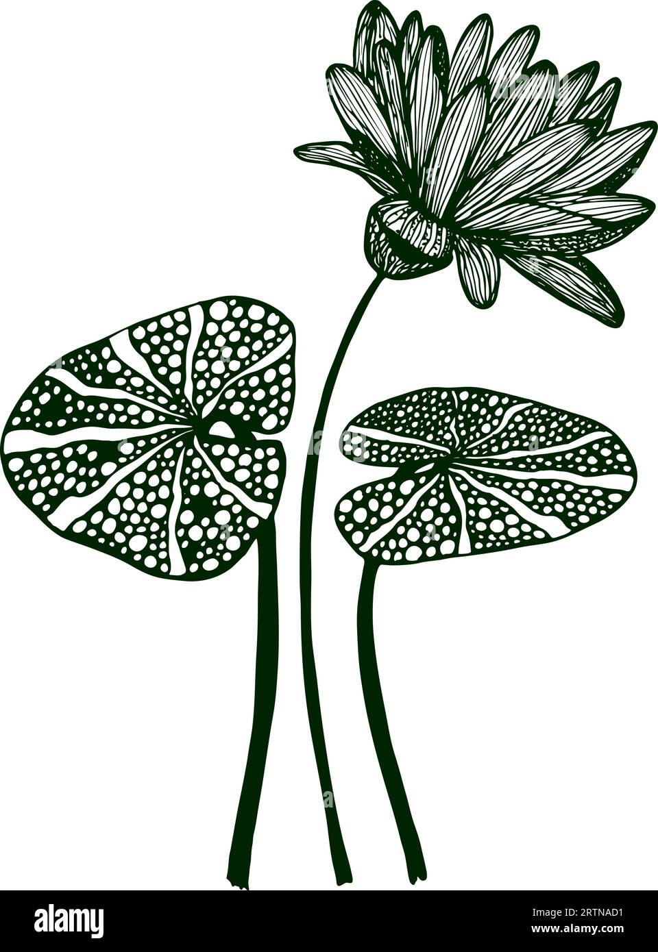 Drawing vector graphics with floral pattern for design. Floral flower ...