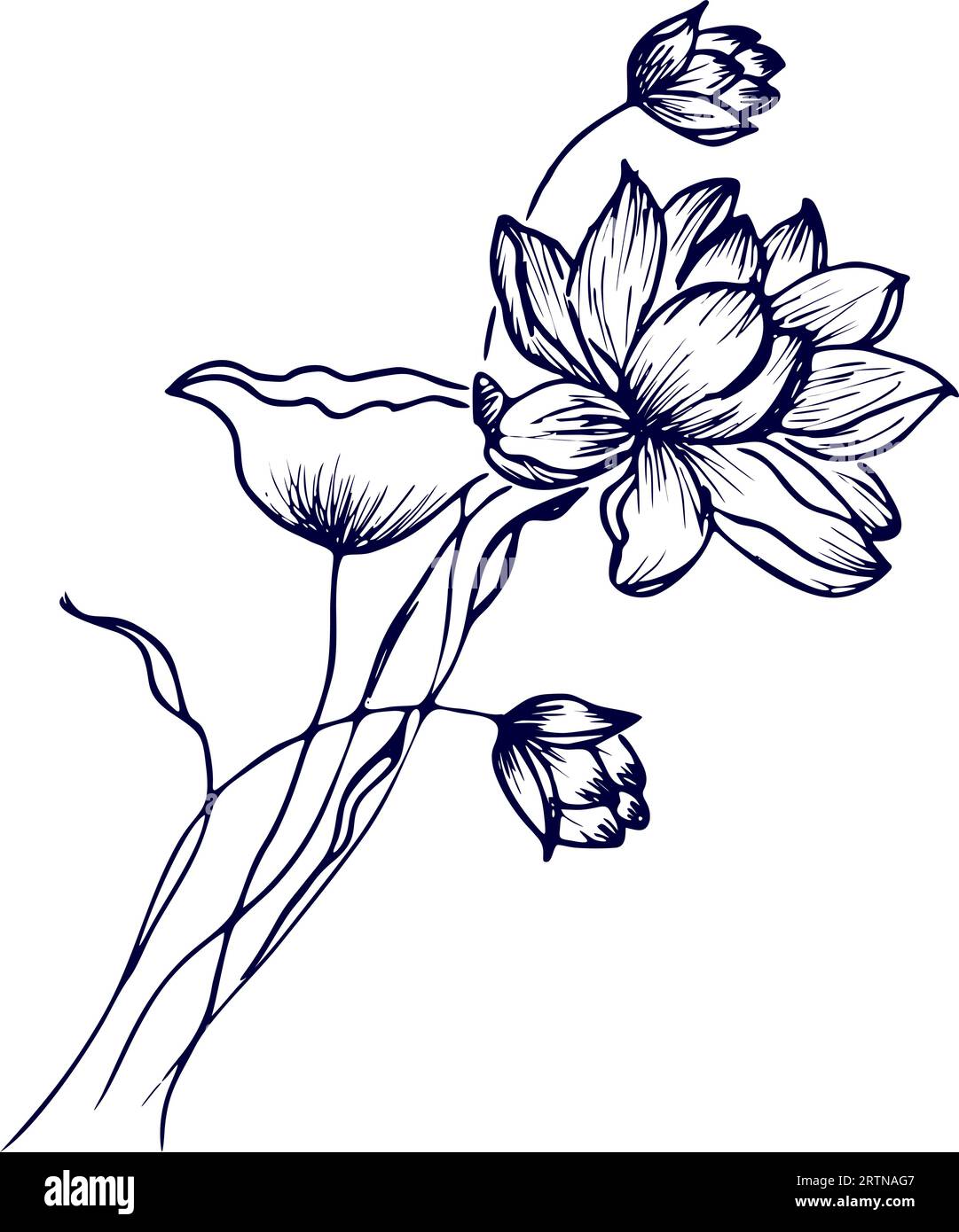 Drawing vector graphics with floral pattern for design. Floral flower ...