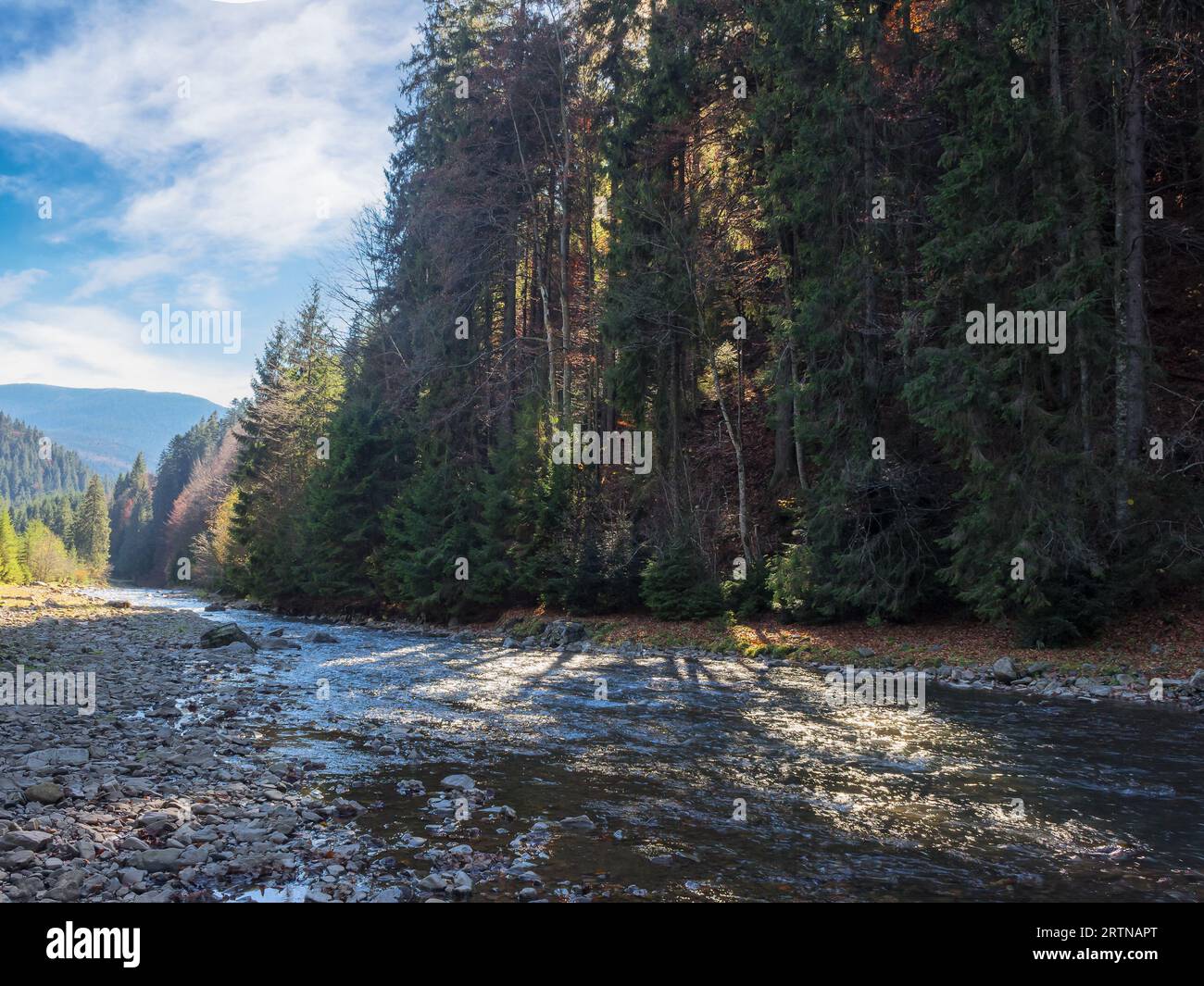 narrow mountain river in autumn. unexpected drought and dry fall season. stones on the shore and shallow water stream. environmental disaster in ukrai Stock Photo