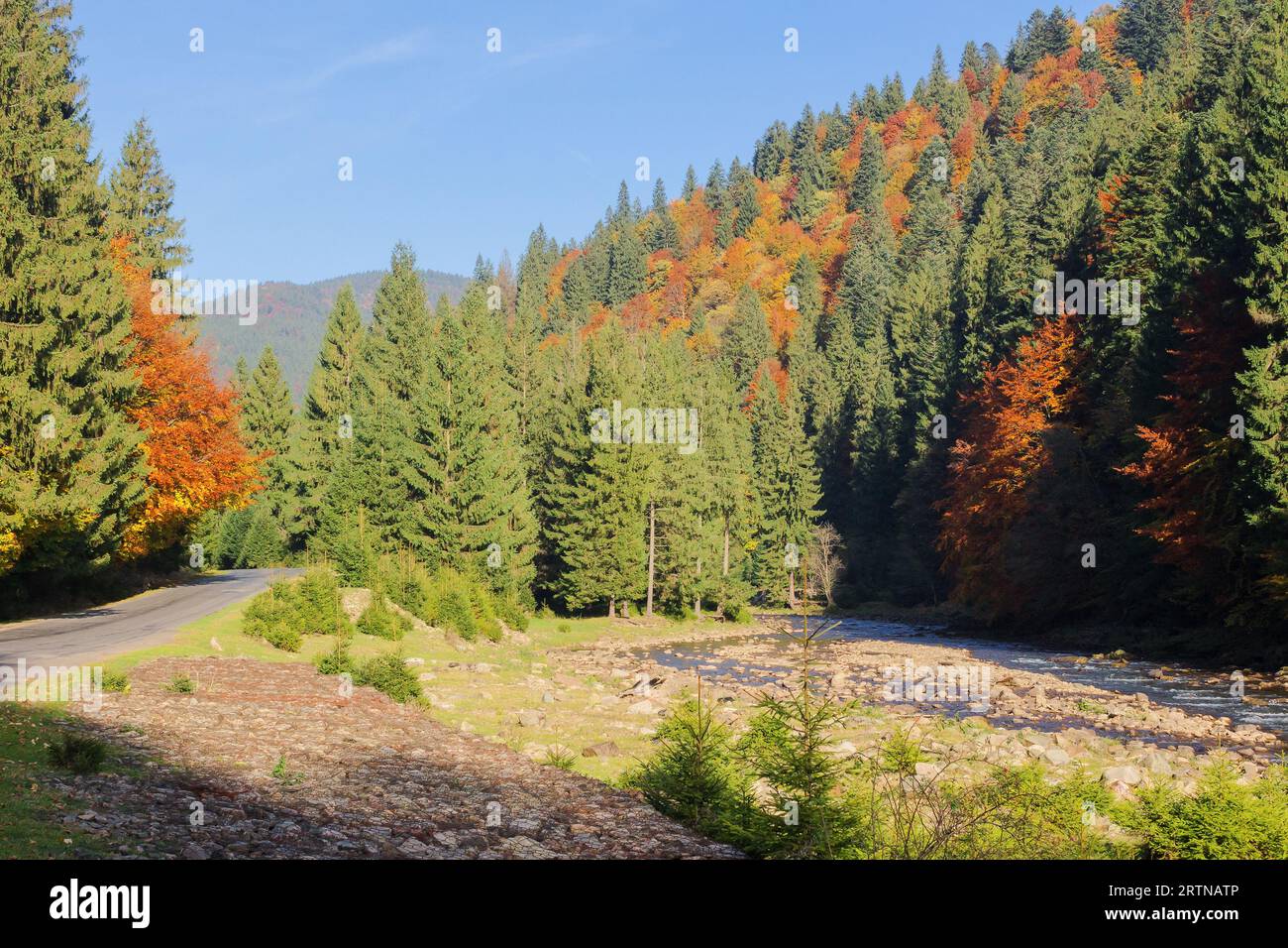 narrow mountain river in autumn. dry fall season. stones on the shore and shallow water stream. sunny weather Stock Photo