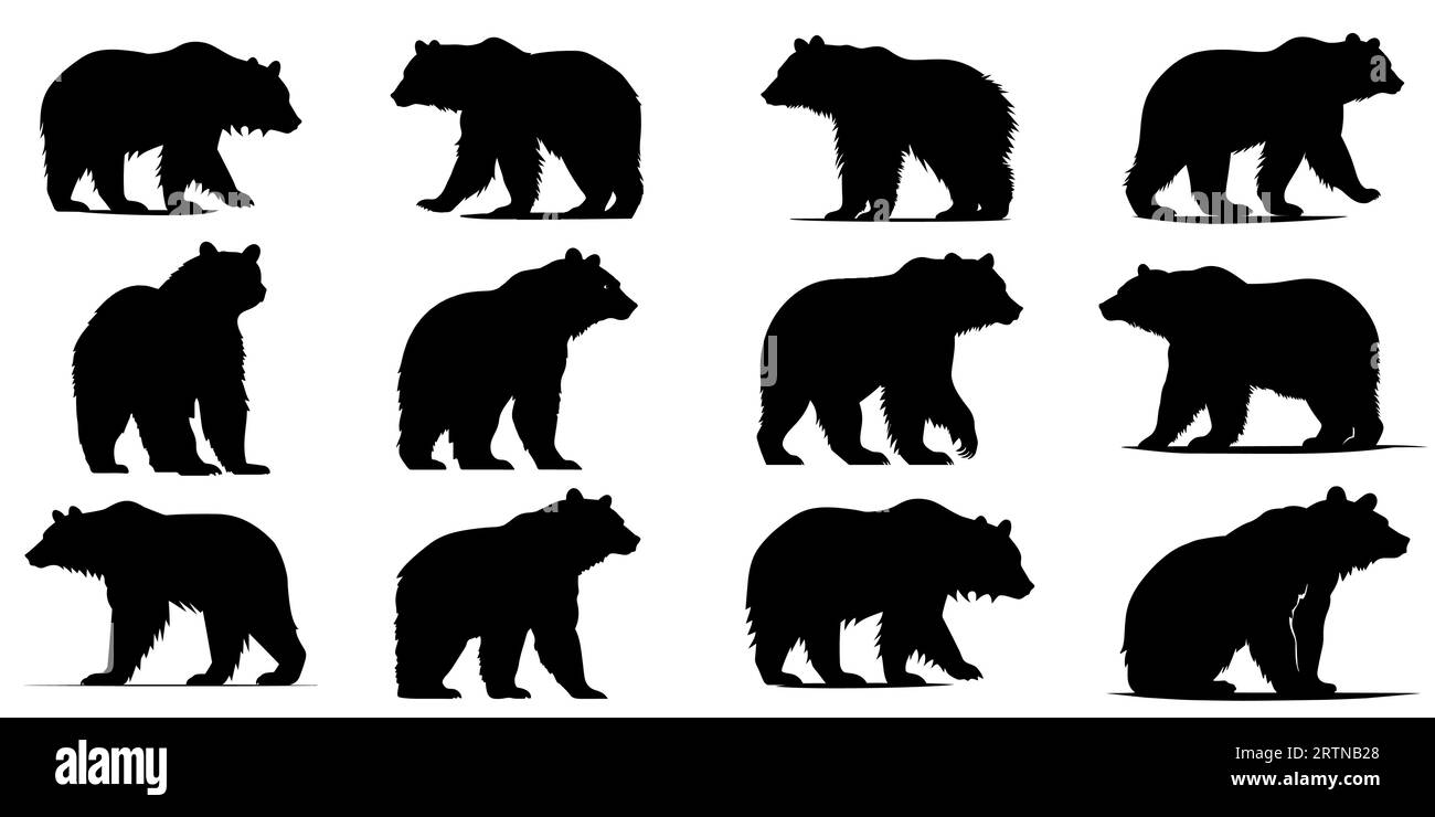 Bear icons set. Bear silhouettes. Black symbols of bear. Vector