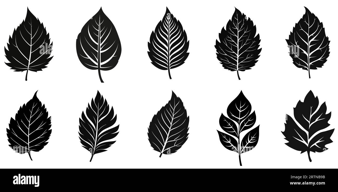 Leaf black icon. Leaf icons set. Icons of different leaves. Vector ...