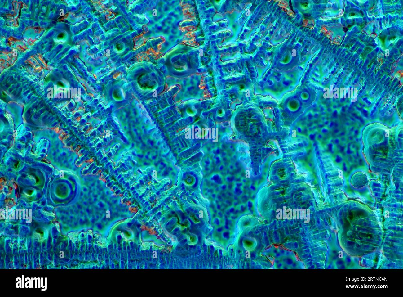 The image presents crystallized soy sauce, photographed through the