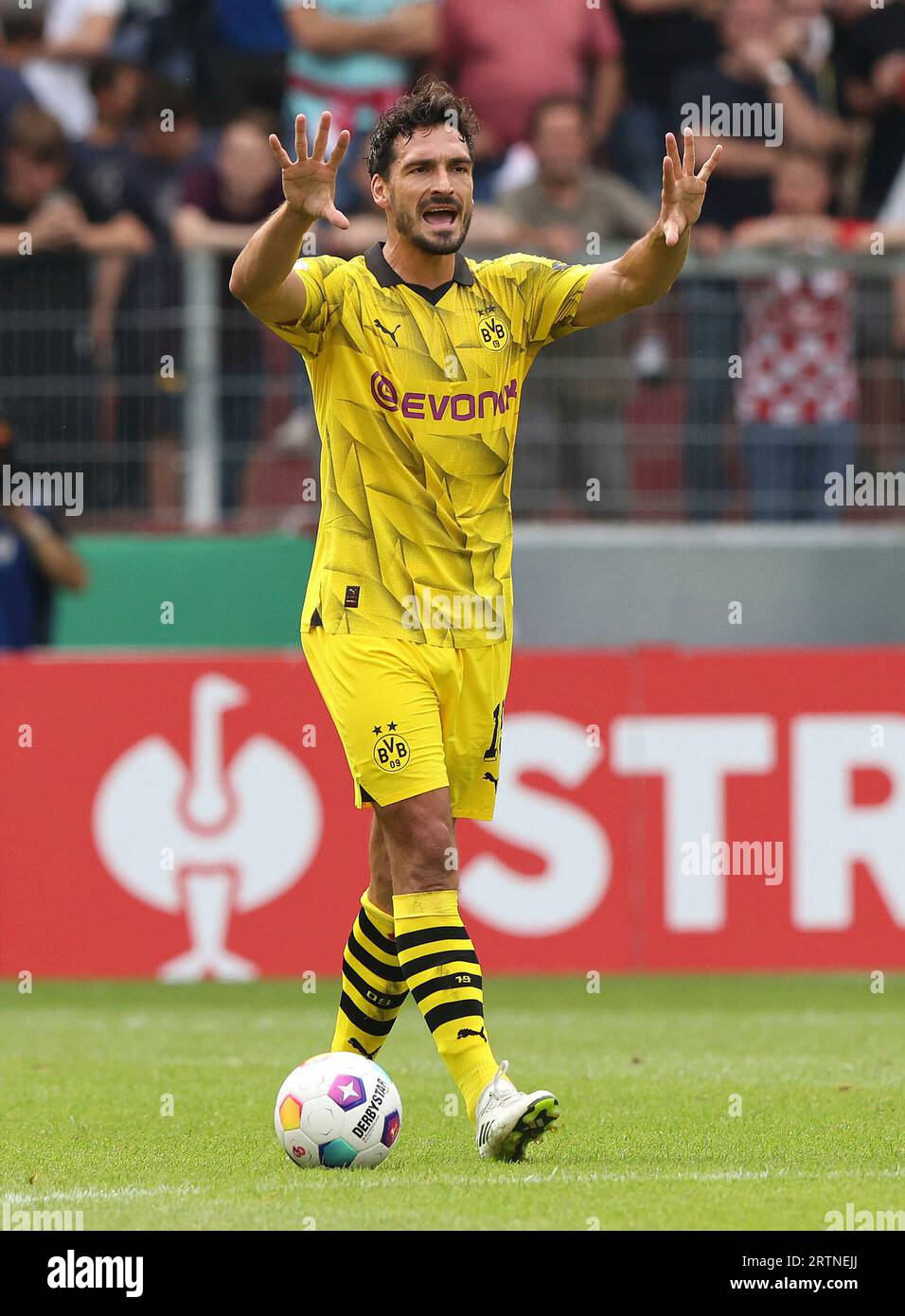 BVB Borussia Dortmund Mats Hummels Trikot (Gebraucht) in Glattpark(Opfikon) für CHF 33 - mit