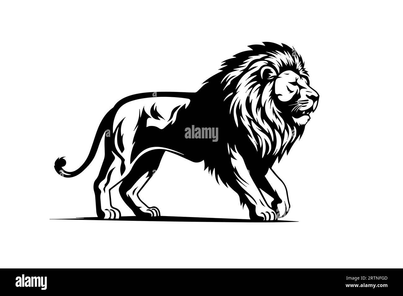 Lion Hand drawn illustration for tattoo , logotype, emblem design. Engraving of wild cat. Vintage sketch style image. Stock Vector