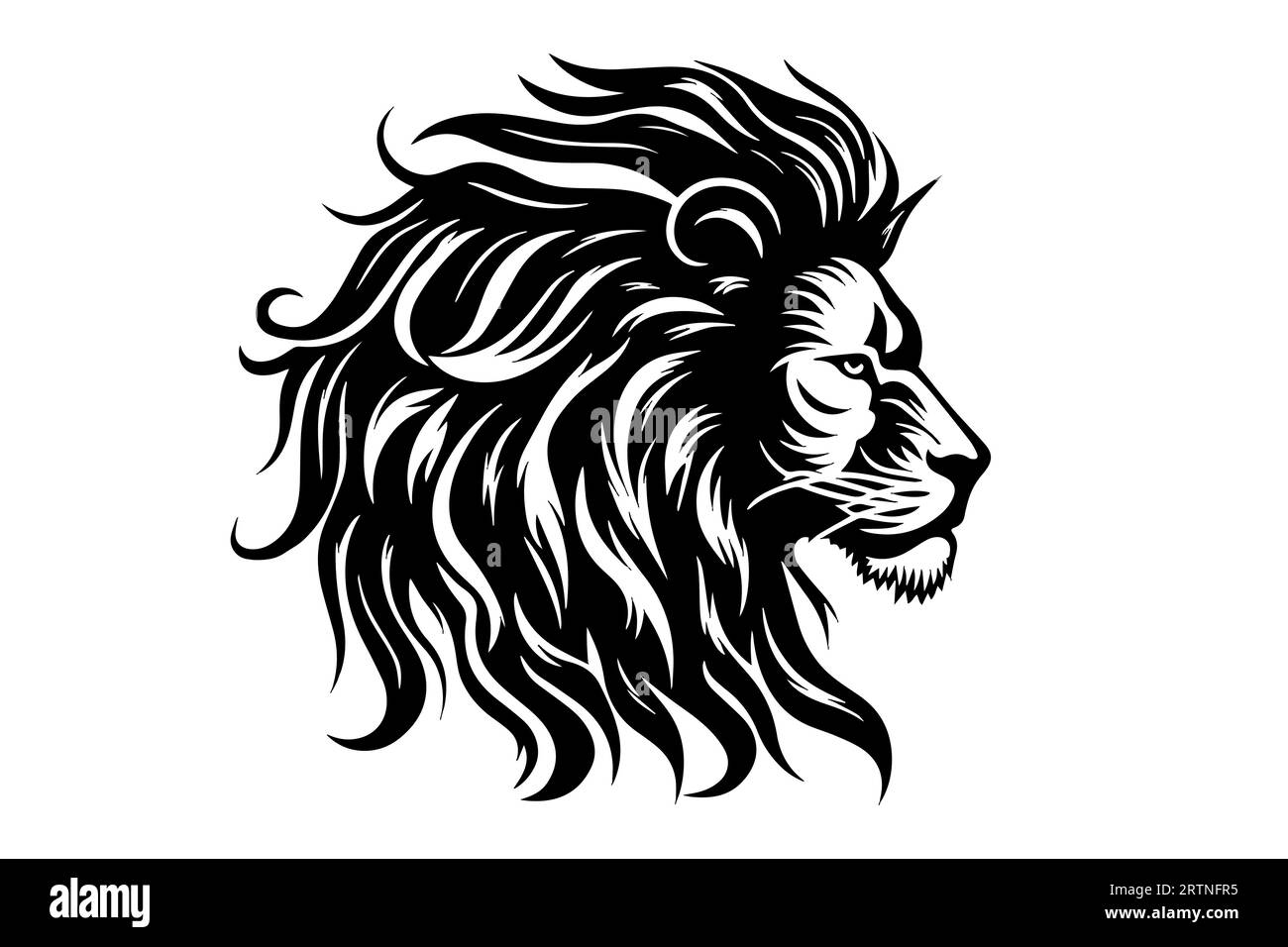 The lion head hand draw vintage engraving black and white vector ...