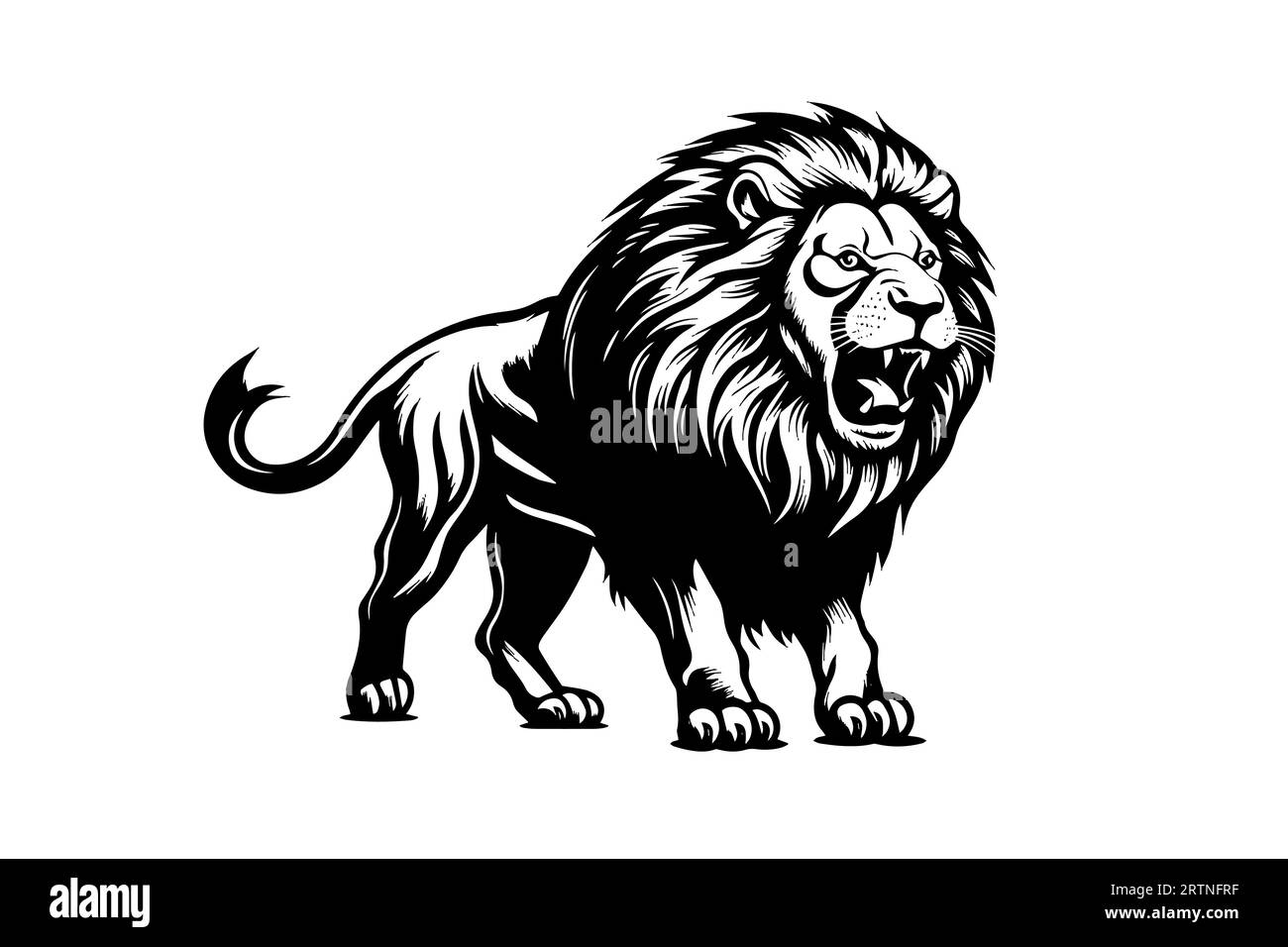 Lion Hand drawn illustration for tattoo , logotype, emblem design. Engraving of wild cat. Vintage sketch style image. Stock Vector