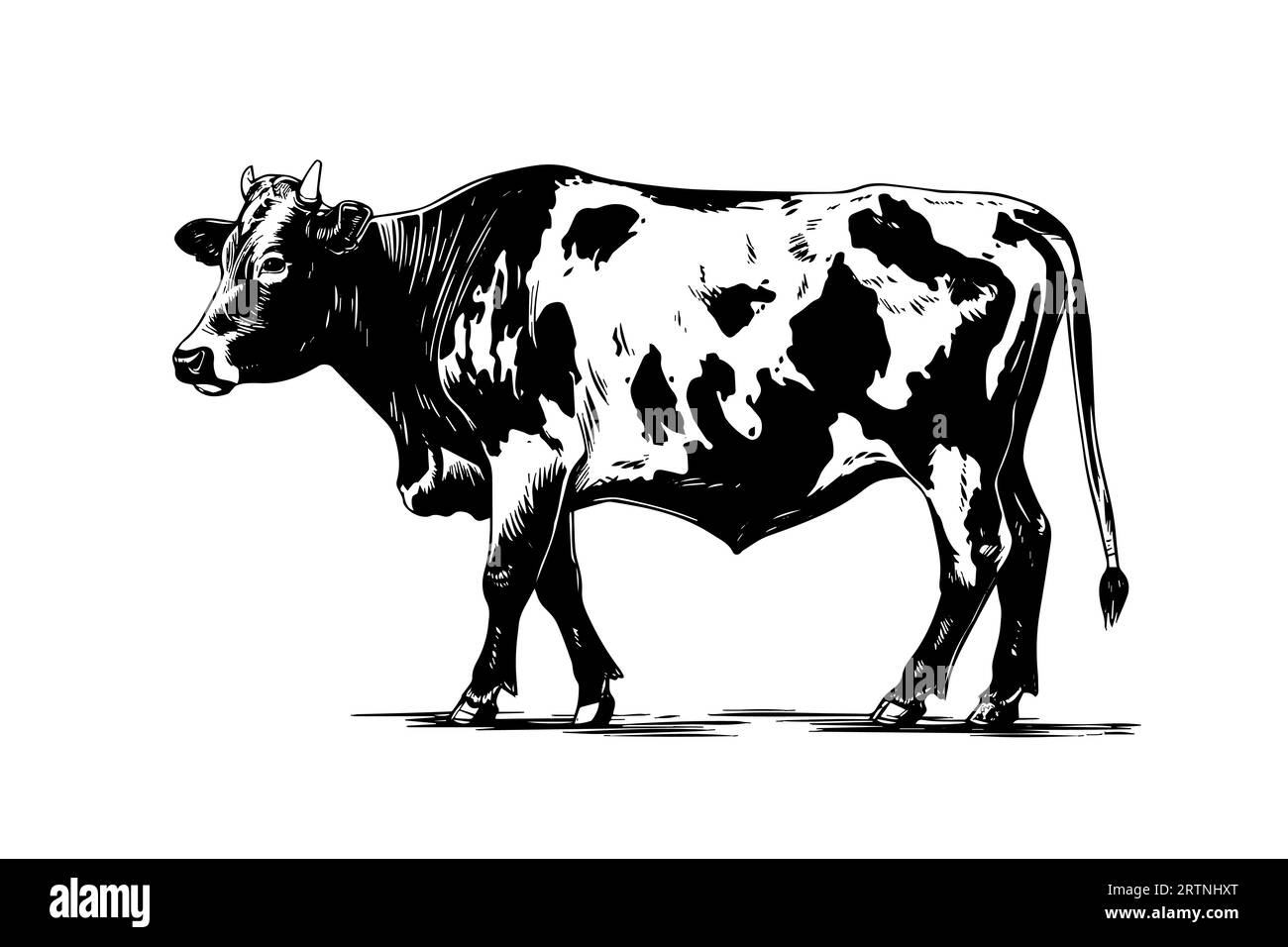 Alpine cow vector hand drawn engraving style illustration Stock Vector
