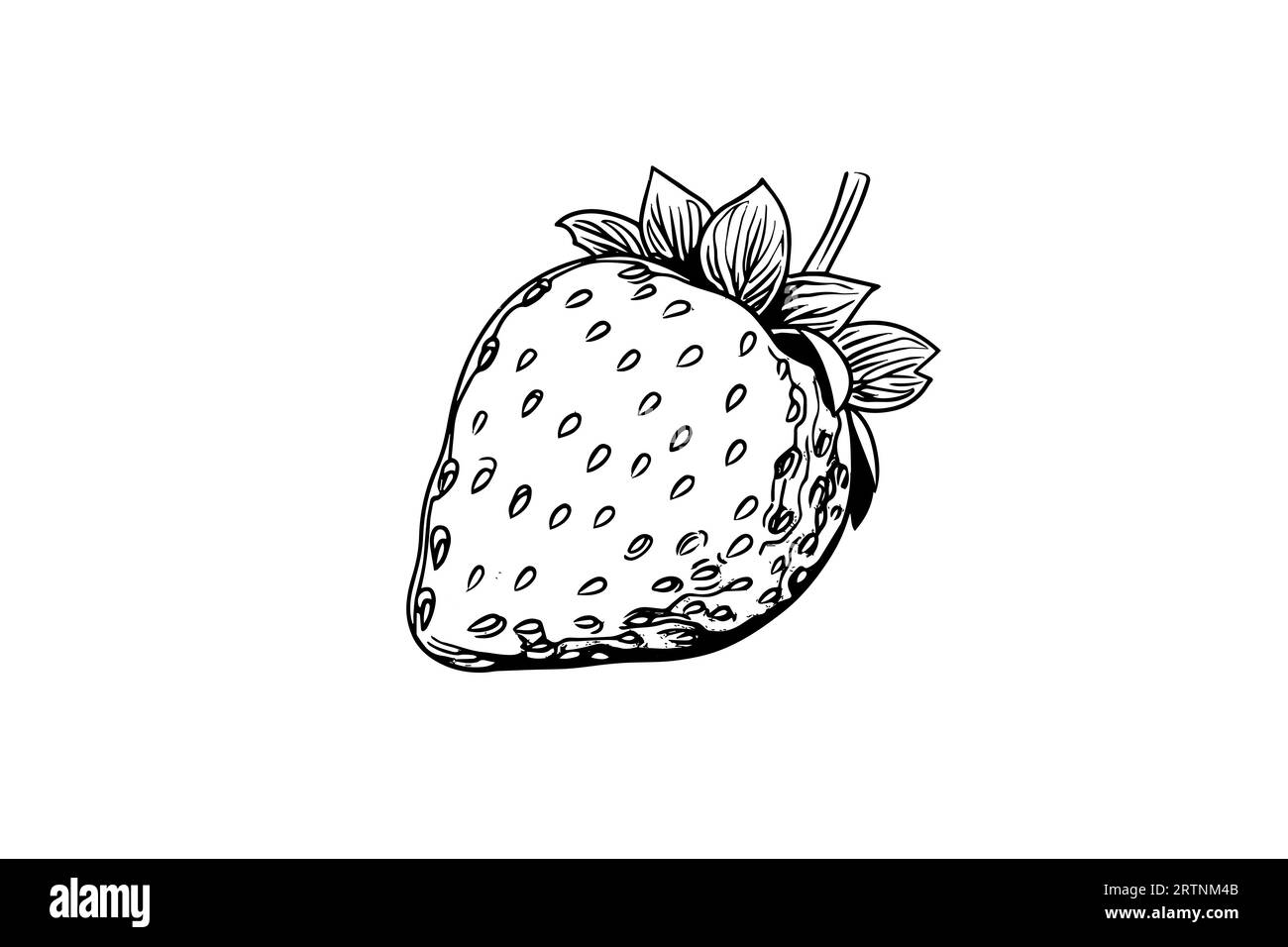 Strawberry Outline SVG File | The Digital Files – TDFcrafty