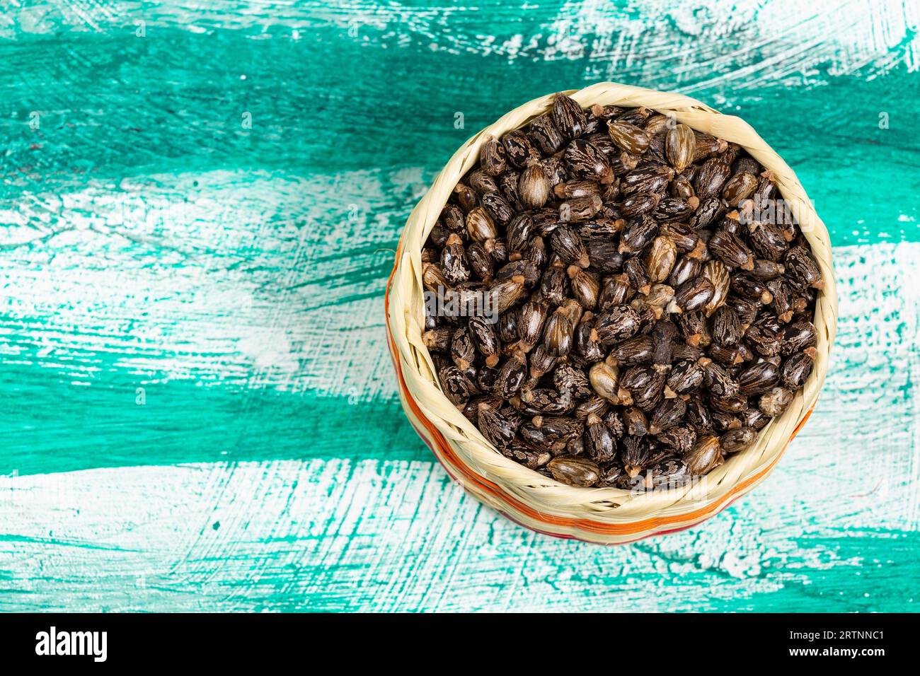 Ricinus Communis – Dried Seeds Of The Fruit Of The Castor Bean Plant. Stock Photo