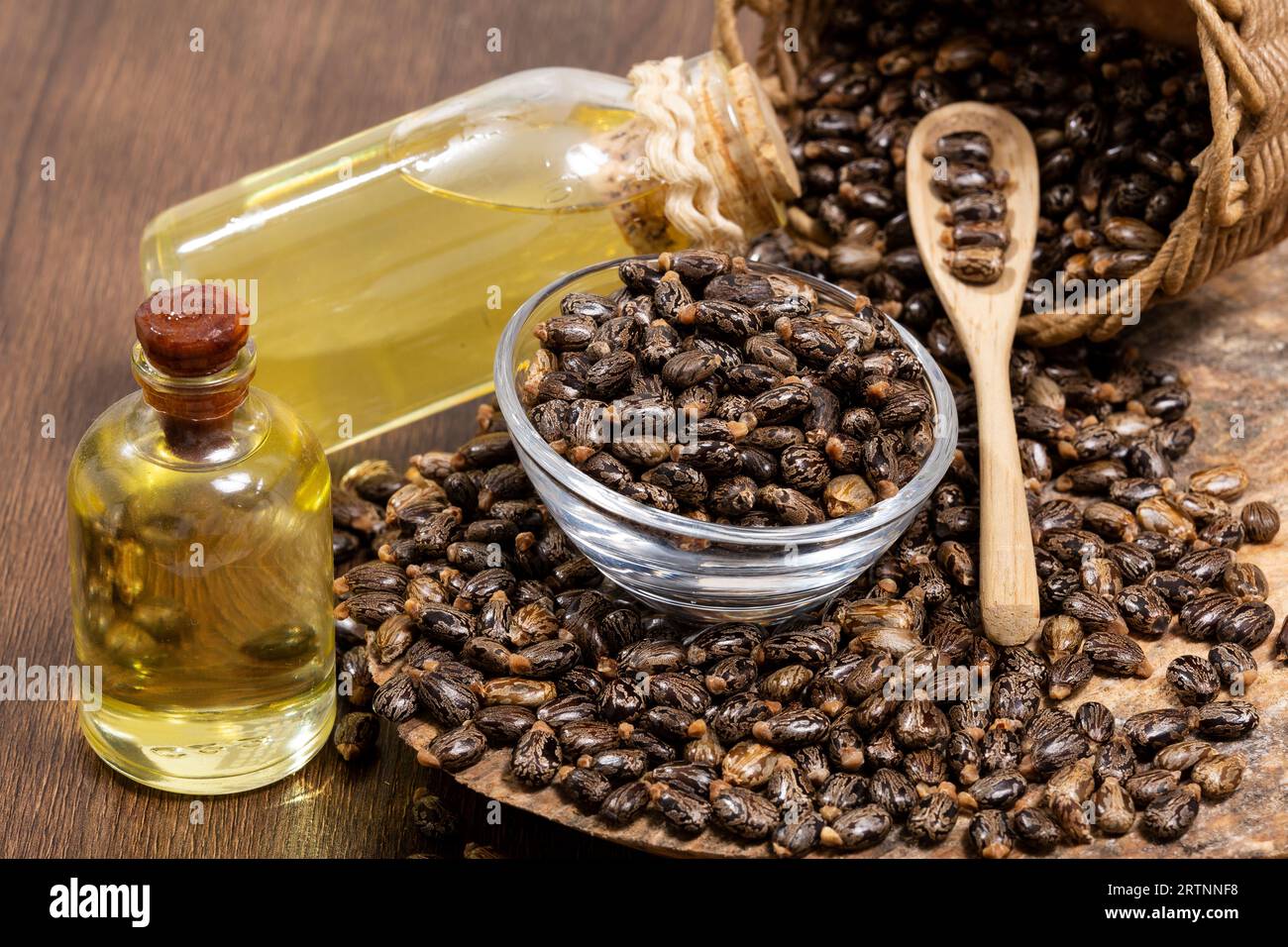 Ricinus communis - Dried seeds And Oil From The Fruit Of The Castor Bean Plant Stock Photo