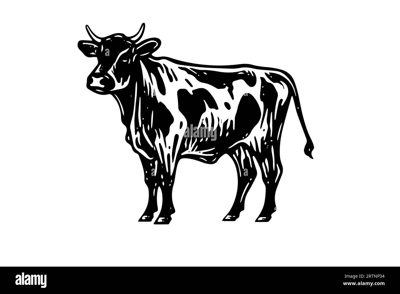 Black cow silhouette for meat industry or farmers market hand drawn stamp effect vector illustration. Stock Vector