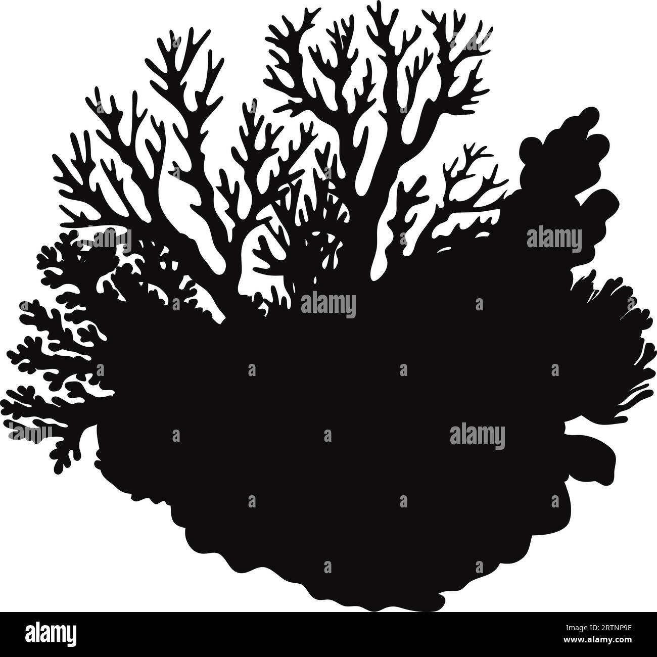 Hand drawn corals and seaweed silhouette isolated on white background ...