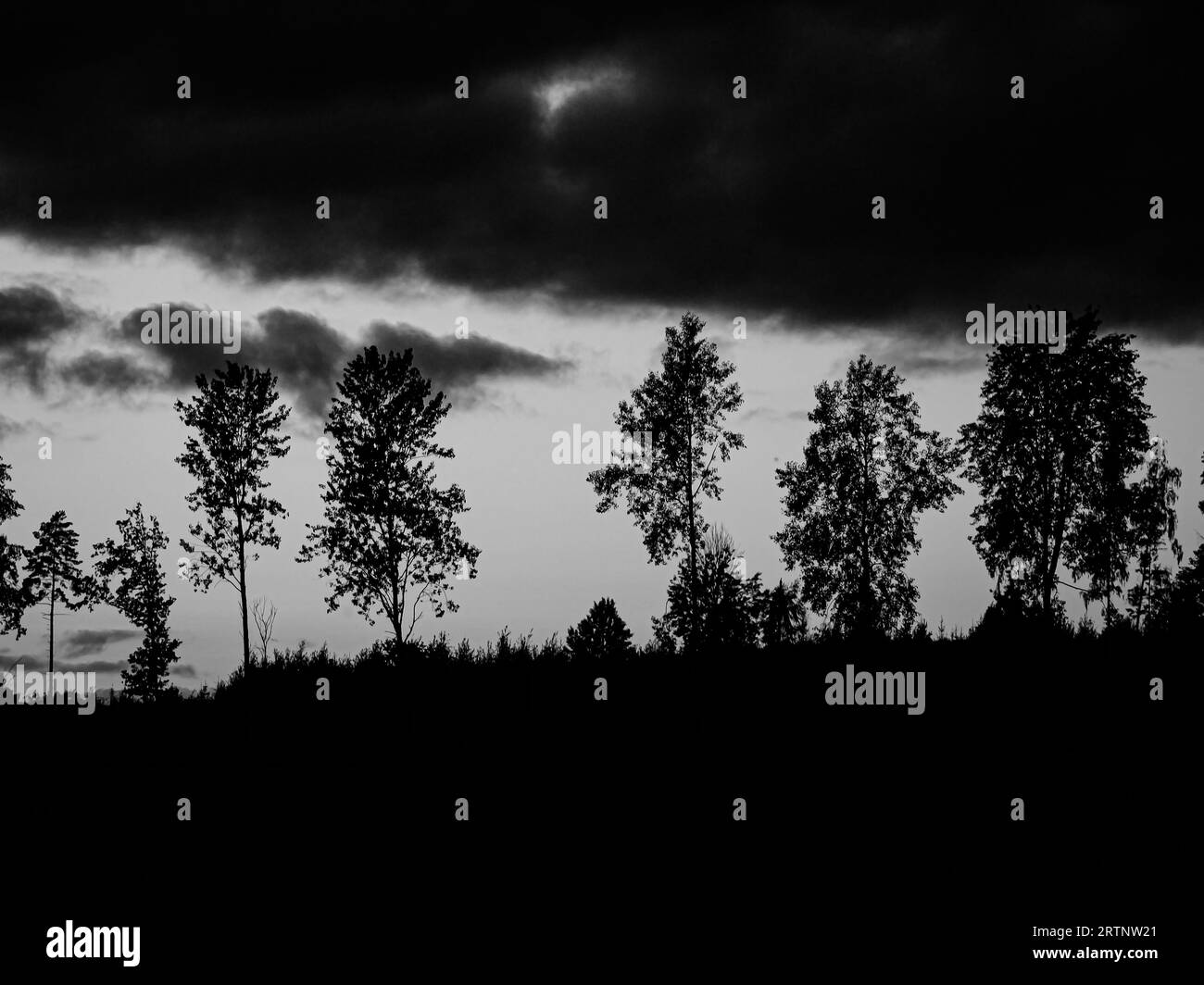 Landscape mist cloudy sky Black and White Stock Photos & Images - Alamy