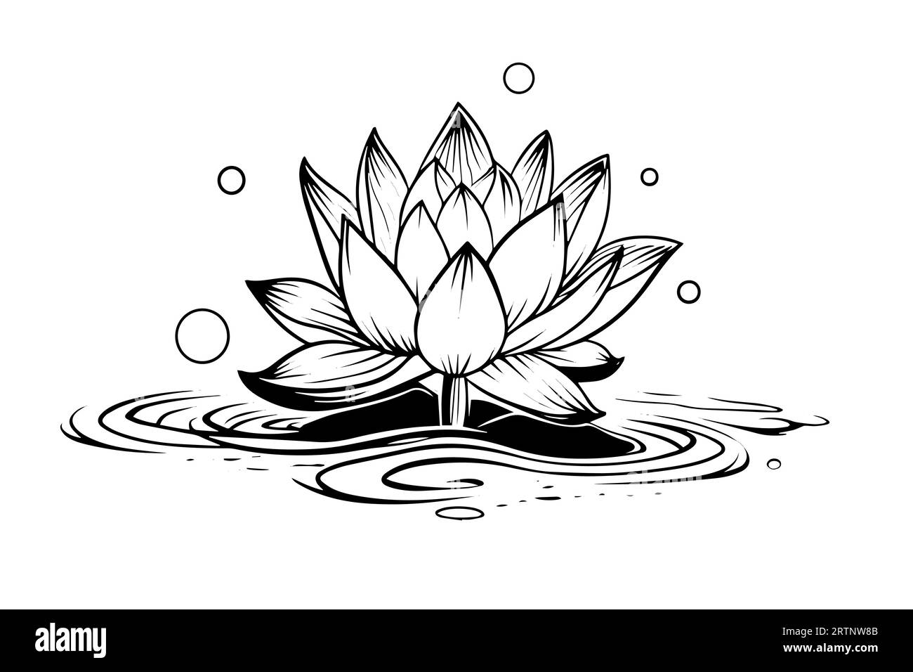A lotus lily water flower in a vintage woodcut engraved etching style