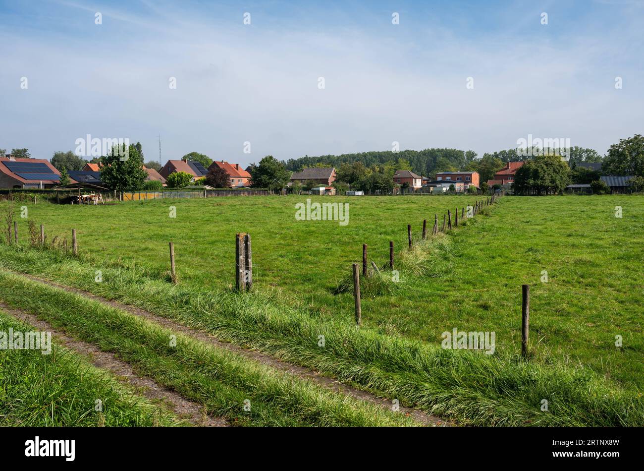 Green meadows and houses at the Flemish countryside around Halen, Limburg, Belgium Stock Photo