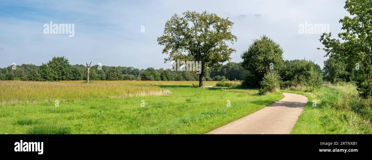 Walking path through the green park of the coal mine site of Beringen, Limburg, Belgium Stock Photo