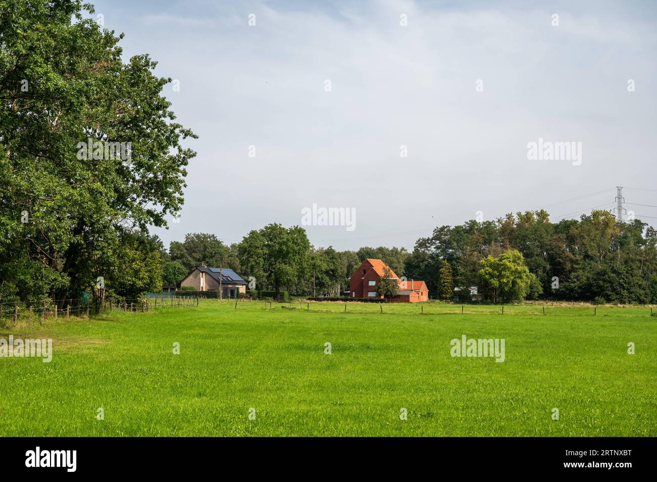 Green meadows and houses at the Flemish countryside around Lummen, Limburg, Belgium Stock Photo