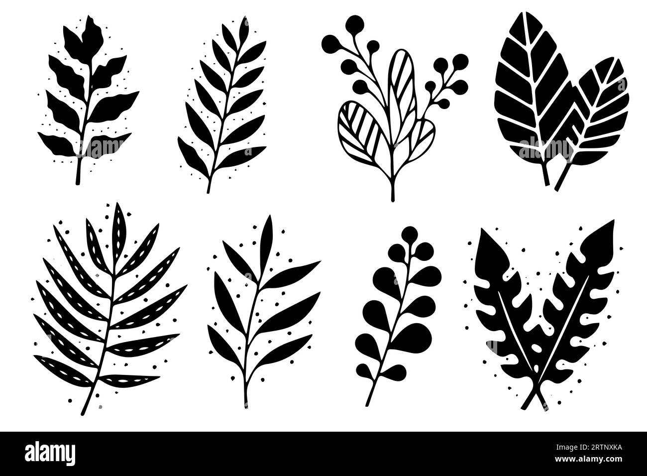 Black leaves Black and White Stock Photos & Images - Alamy
