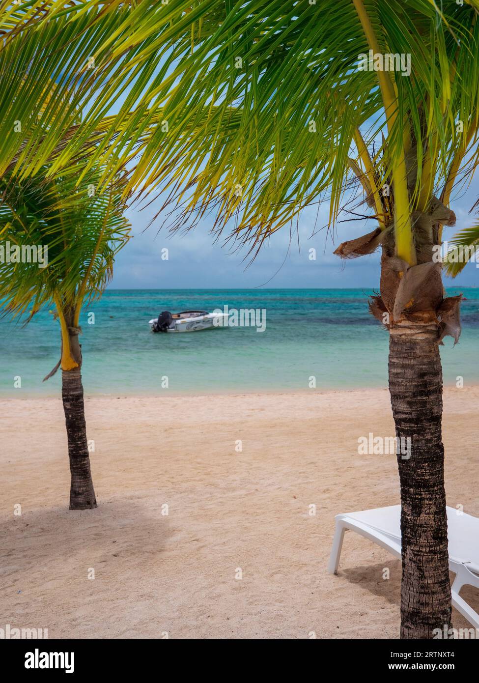 A speedboat on a turquoise ocean between two palm trees in Mauritius Stock Photo