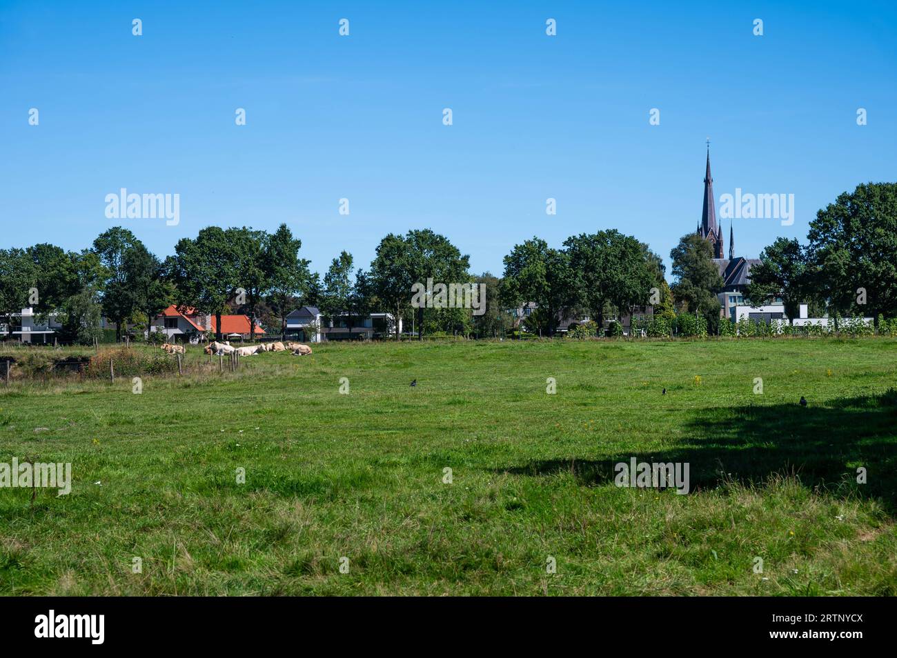 Ulvenhout, North Brabant, The Netherlands, September 9, 2023 - Green meadows and residential houses of the village Stock Photo