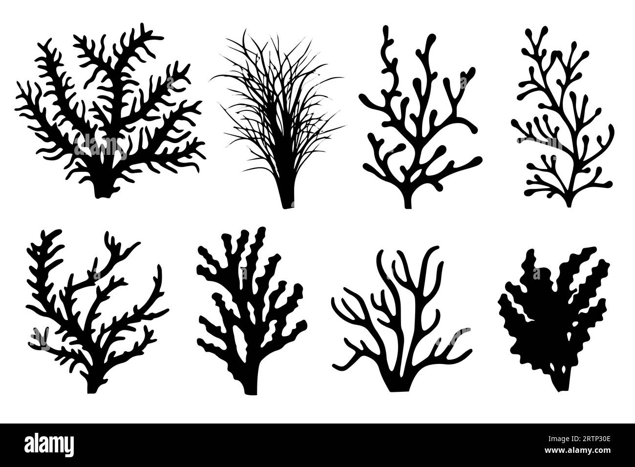 Hand drawn set of corals and seaweed silhouette isolated on white ...