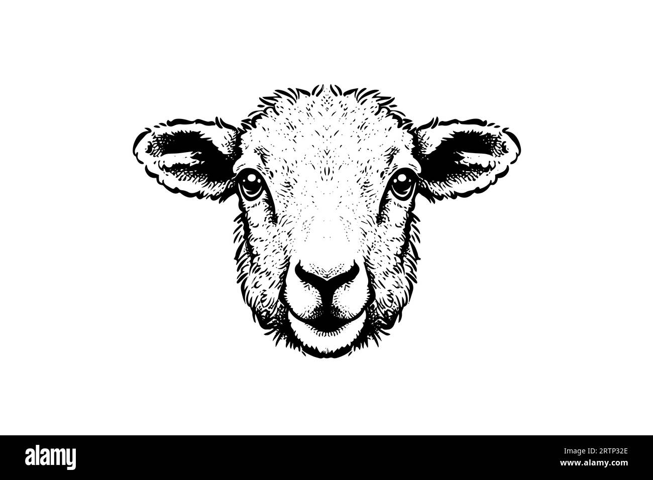 Cute sheep or lamb head engraving style vector illustration. Realistic