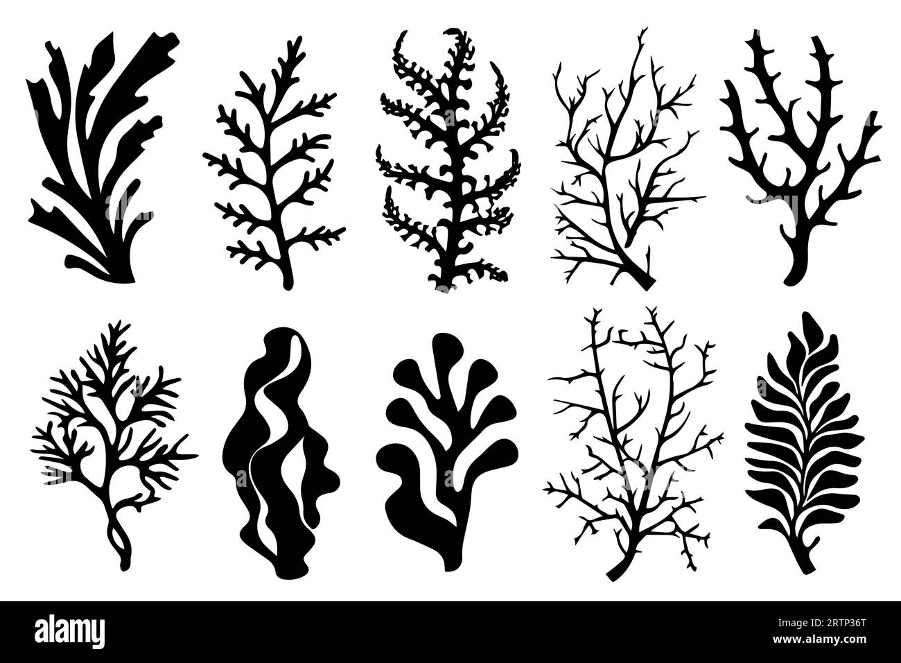Hand drawn set of corals and seaweed silhouette isolated on white ...