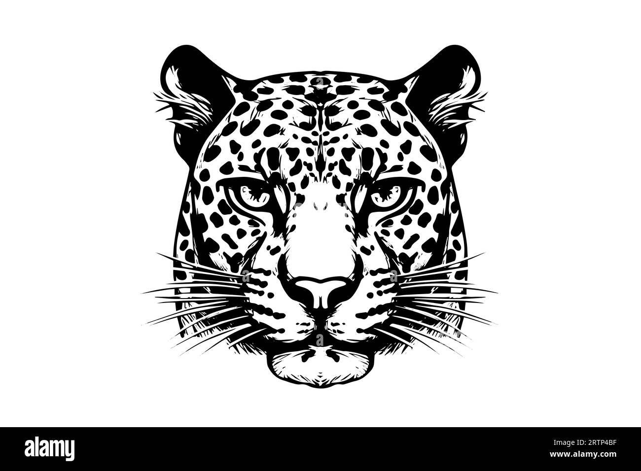 Black and white hand drawn ink sketch of leopard head or face. Vector