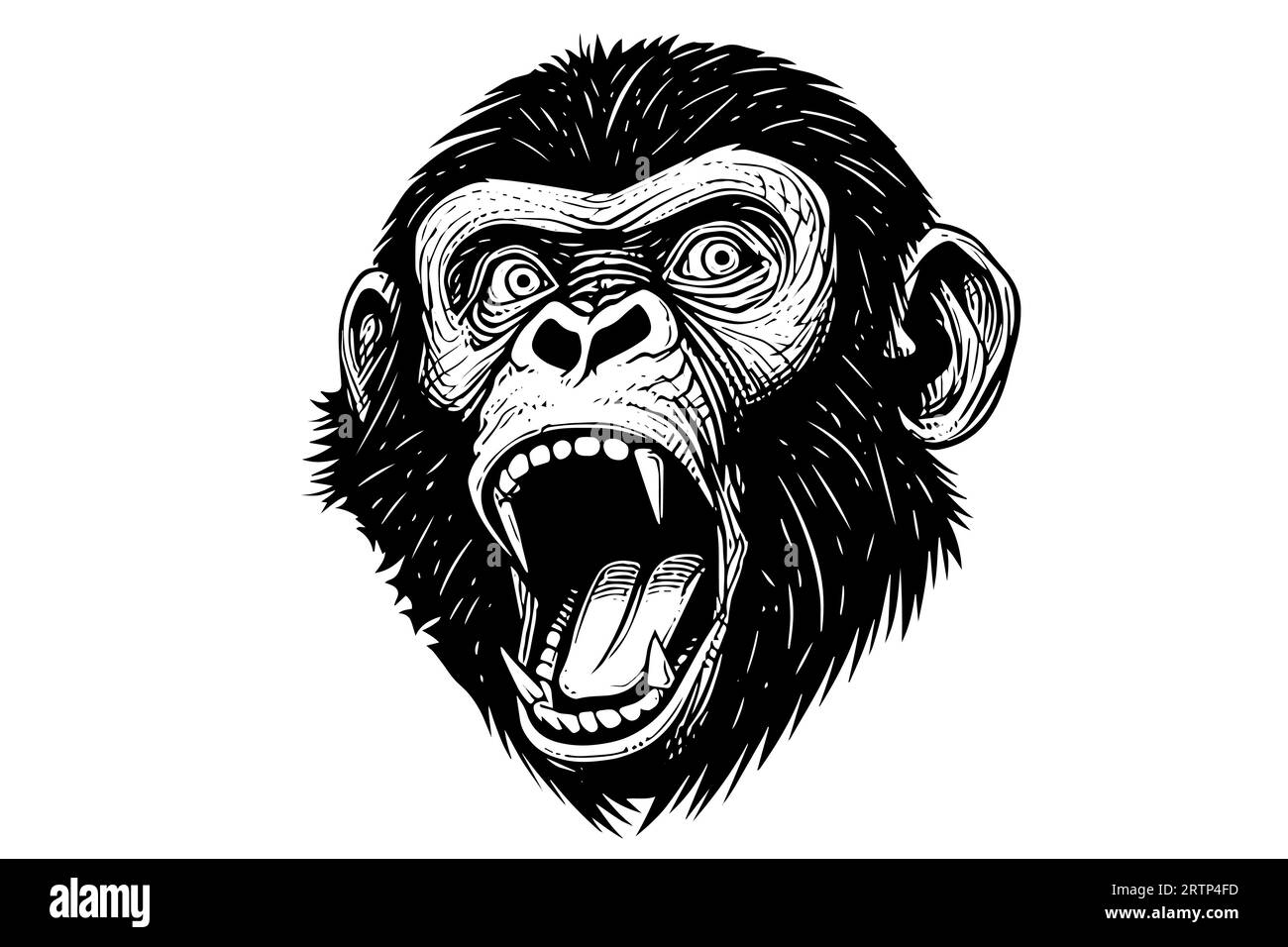 Monkey head or face hand drawn vector illustration in engraving style ink sketch. Stock Vector