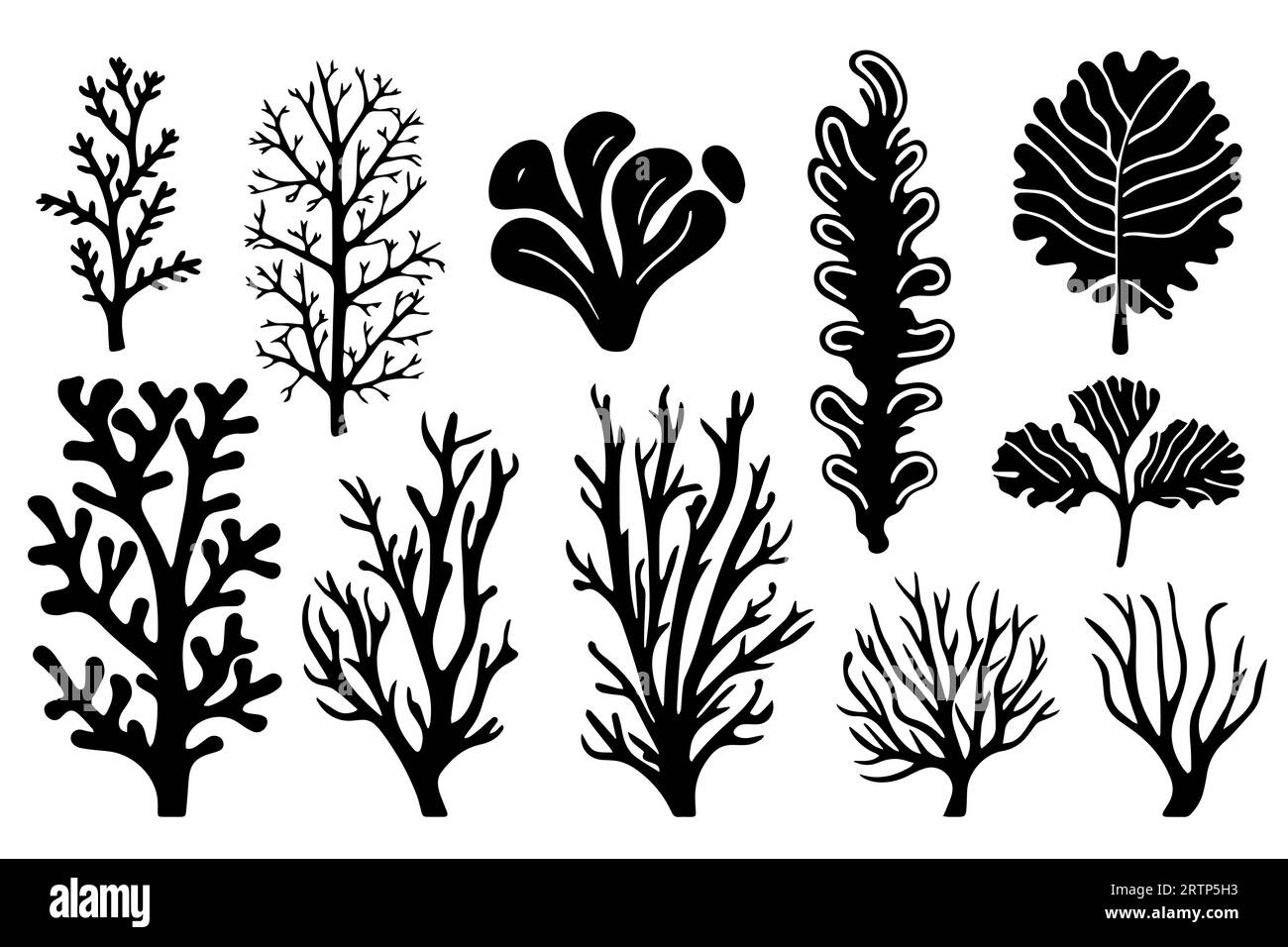 Hand drawn set of corals and seaweed silhouette isolated on white ...