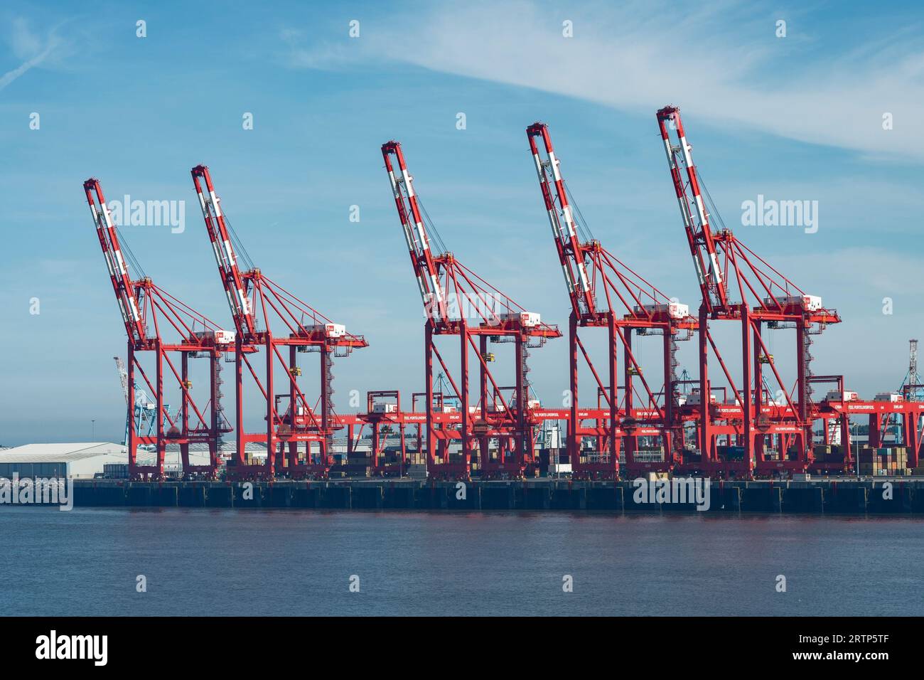 A line of ship to shore container cranes at Peel Ports dock in Liverpool UK Stock Photo