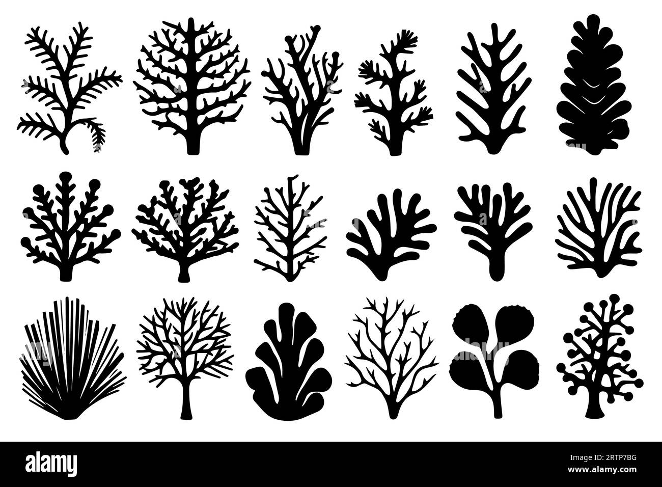 Hand drawn set of corals and seaweed silhouette isolated on white ...